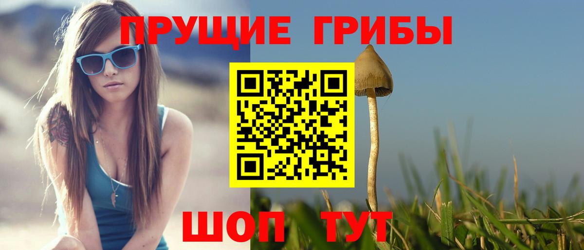 Фрязино  Галлюциногенные грибы MAGIC MUSHROOMS  Псилоцибиновые грибы Magic Shrooms  купить наркотики сайты  Вход с VPN 