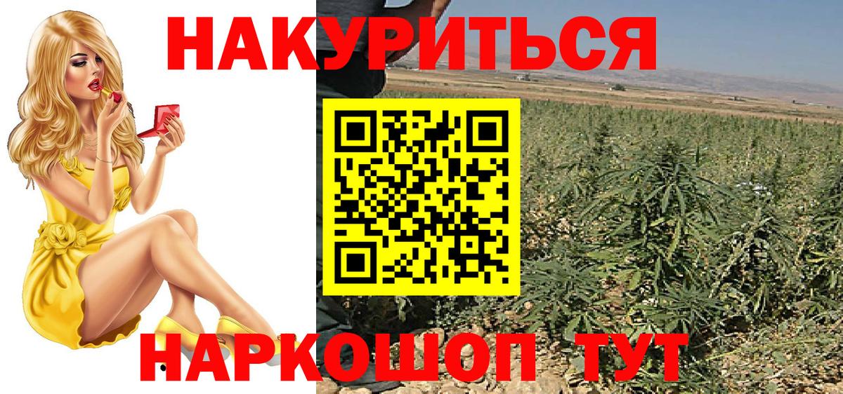 Фрязино  Шишки марихуана сатива  Шишки марихуана THC 21%  Вход с VPN 